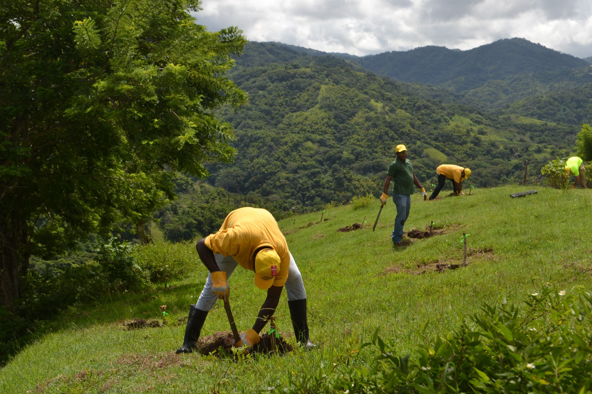 There’s something brewing in the Cockpit Country.