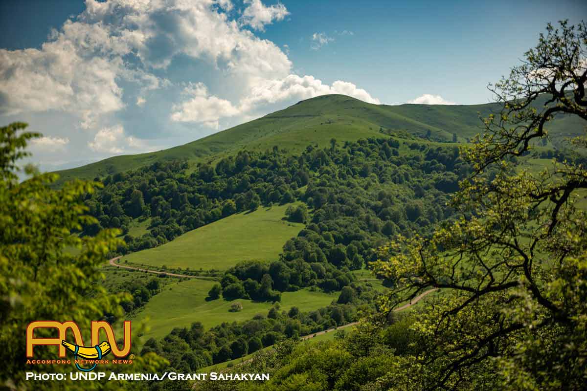 Healthy forests provide a pathway to fight climate change and unlock green recovery