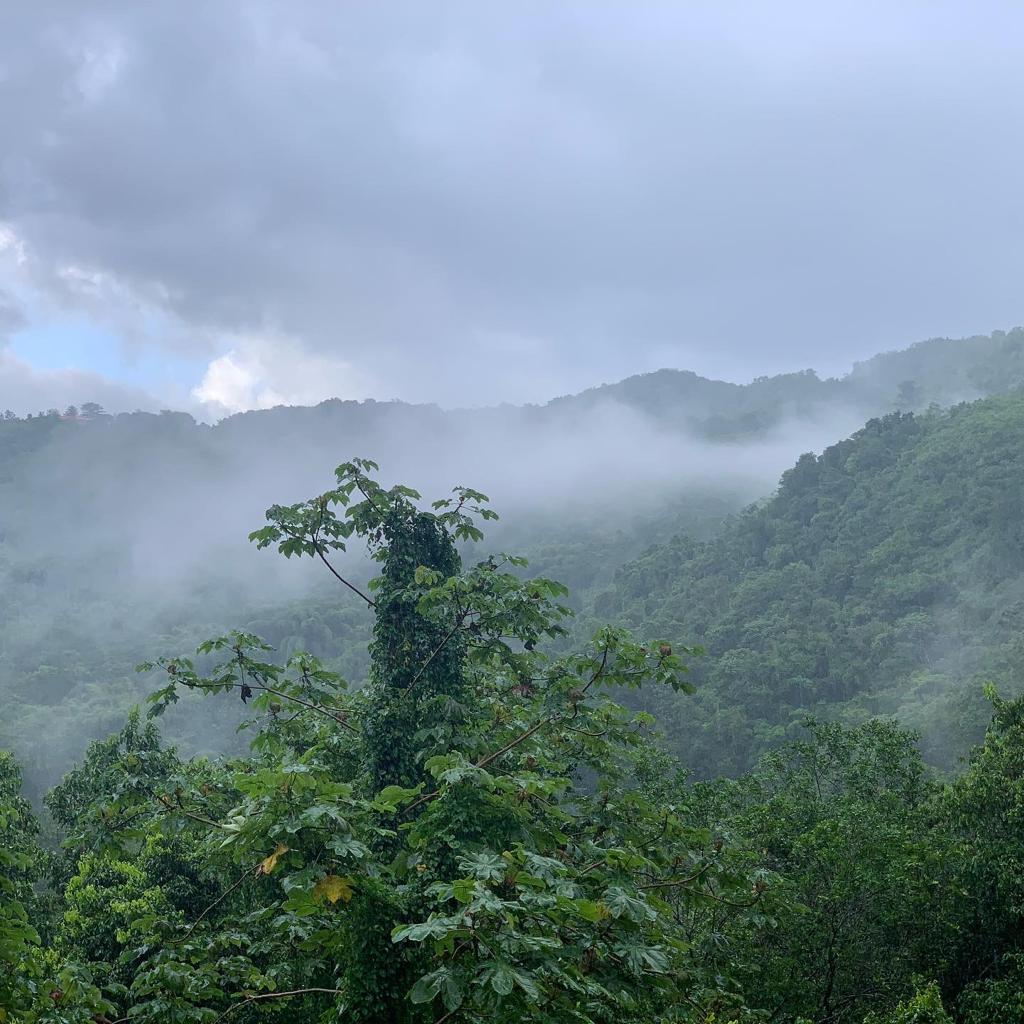 Indigenous People Protect The Cockpit Country